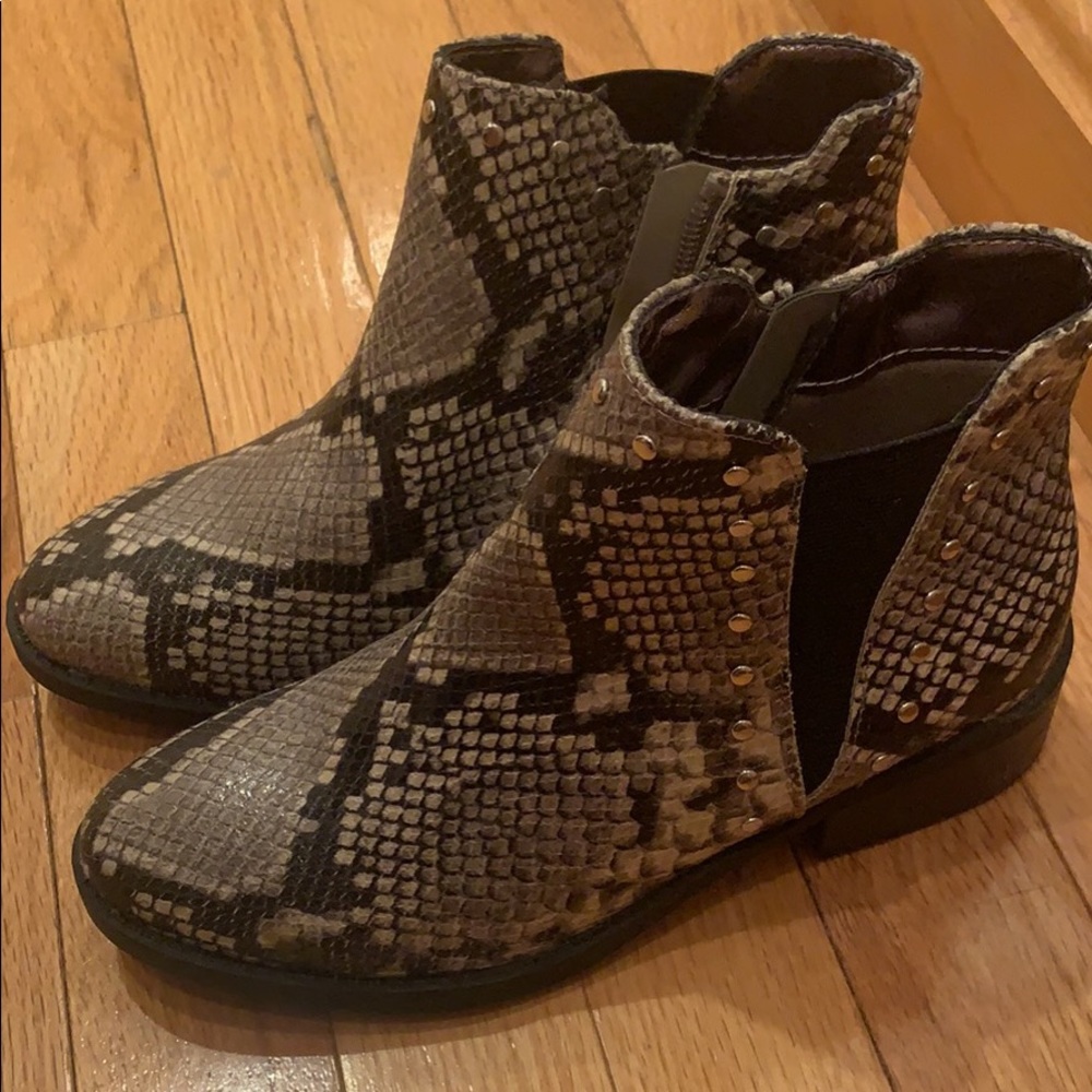 New Steve Madden snakeskin booties